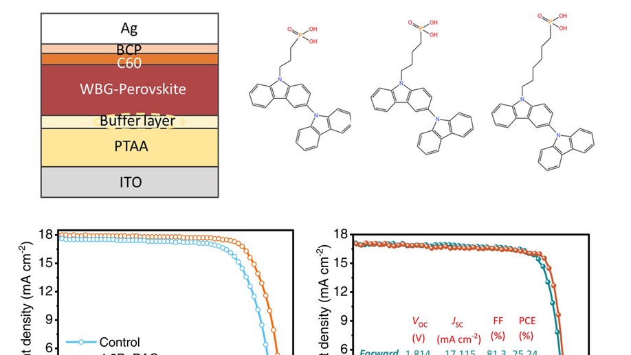 Perovskite Solar Cells Consisting of PTAA Modified with Monomolecular Layer and Application to All-Perovskite Tandem Solar Cells with Efficiency over 25%