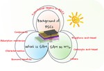 Selective contact self-assembled molecules for high-performance perovskite solar cells